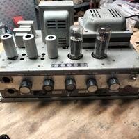 amplificatore geloso 