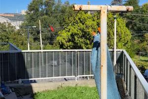 Trilocale a San Dorligo della Valle