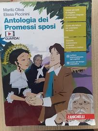 Antologia dei Promessi sposi Zanichelli