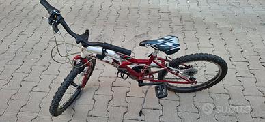 bicicletta 22