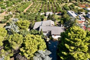 Villa a Crispiano in Via Mesole, 164