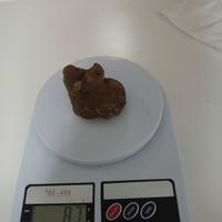 Tartufo bianco pregiato da 87grammi