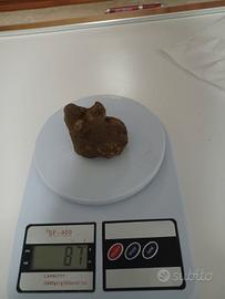 Tartufo bianco pregiato da 87grammi