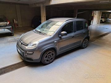 Fiatal Panda 3ª serie - 2022