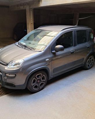 Fiatal Panda 3ª serie - 2022