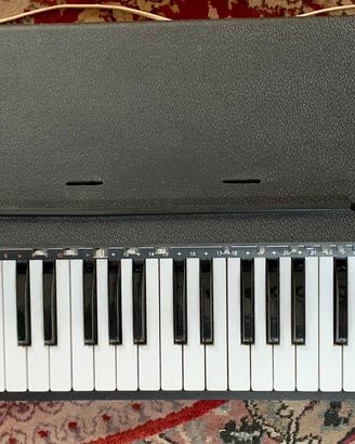 Organo EKO Super Junior