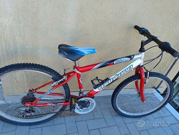 Bicicletta bimbo 24