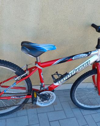 Bicicletta bimbo 24