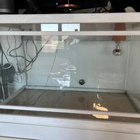 Teca per tartarughe e rettili