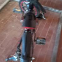 bicicletta elettrica