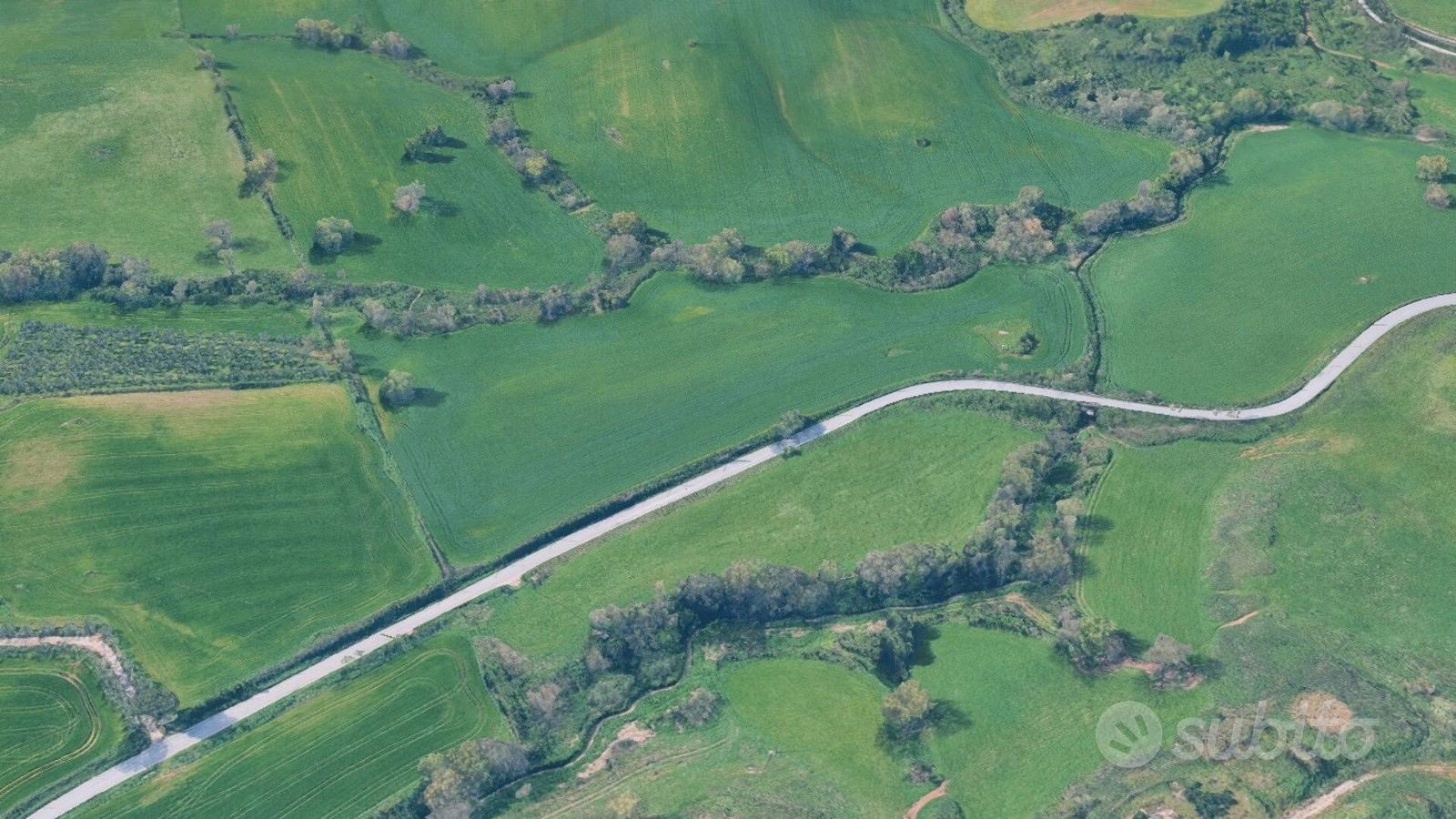 Terreno agricolo 4 ettari fronte strada - Vista 2