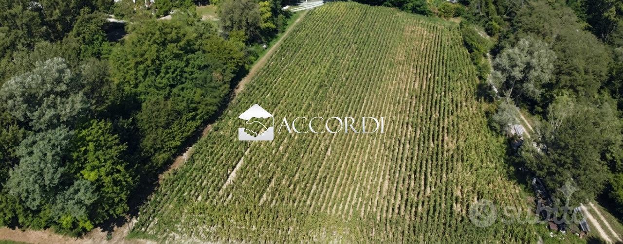 Rif.SW186- terreno agricolo asolo - Vista 2