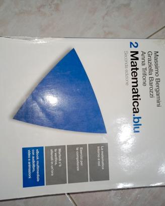 matematica blu 2