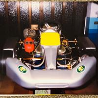 Motore Kart Comer  100 cc ad aria
