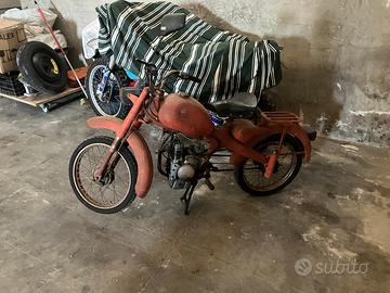 Motom 48 anno 1966