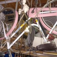 bicicletta Donna 