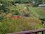 Immagine 26
