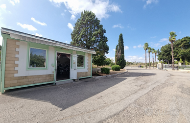 Attività di rivendita piante e fiori