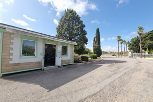 Attività di rivendita piante e fiori