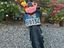 Immagine 4