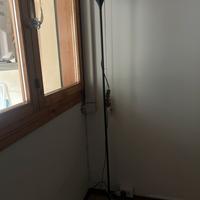 Lampada