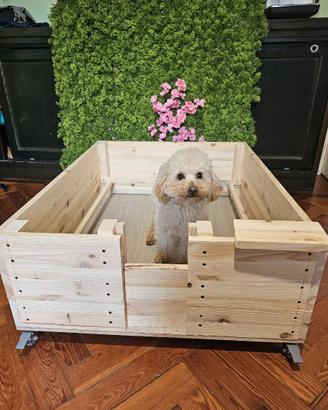 Cassa parto per cani