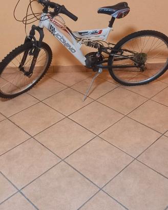 Bicicletta