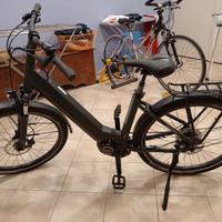 Bicicletta a pedalata assistita 