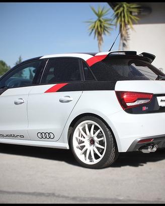 Finale con valvola AUDI S1 (TYPE 8X) 2.0 TFSI (231