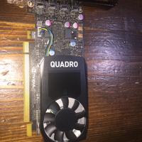 Nvidia quadro p600