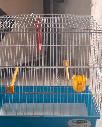 Gabbia per animali piccoli taglia