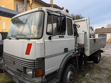 Camion con gru