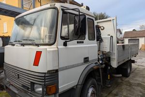 Camion con gru
