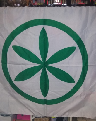 Bandiera Padania / Sole delle Alpi