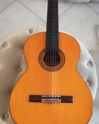 chitarra classica morris g203