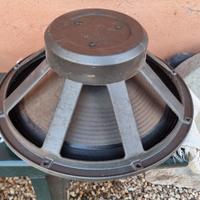 cono woofer per Ampli Basso