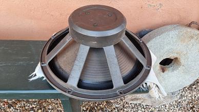 cono woofer per Ampli Basso