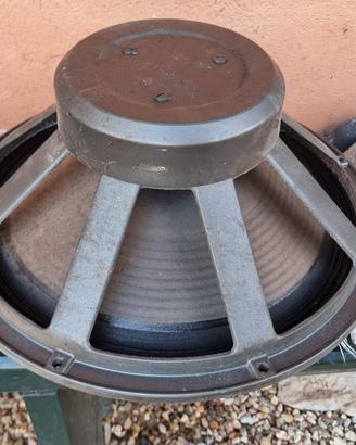 cono woofer per Ampli Basso