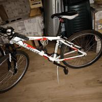 Mountain bike BOTTECCHIA FX500
