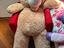 Immagine 1