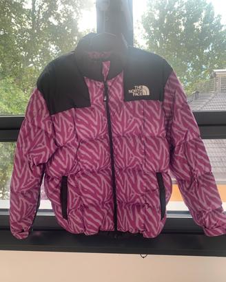 Piumino the north face uomo/ragazzo