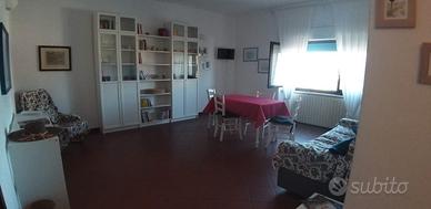 85 mq libero ottobre maggio puntone di scarlino