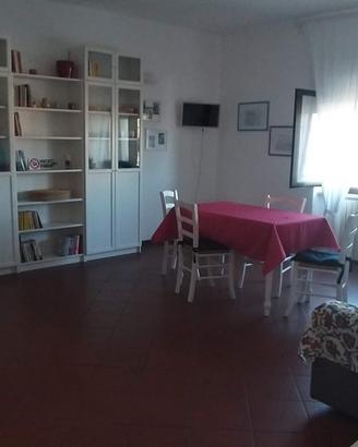 85 mq libero ottobre maggio puntone di scarlino
