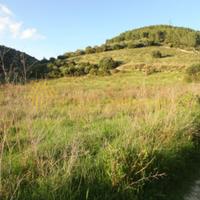 Terreno, Osilo.