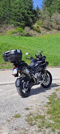 Triumph Tiger 1200 - 2024