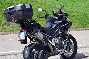 Triumph Tiger 1200 - 2024