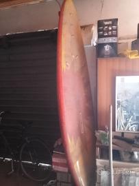 Tavole surf
