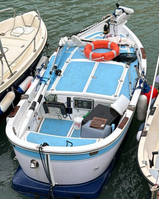 GOZZO NOCE 4.50 da motorizzare