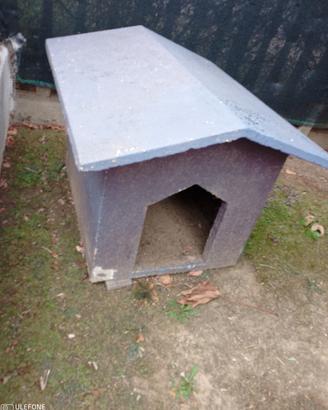 Casa per cane