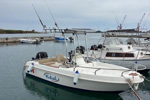 Mistral sfera 5.50